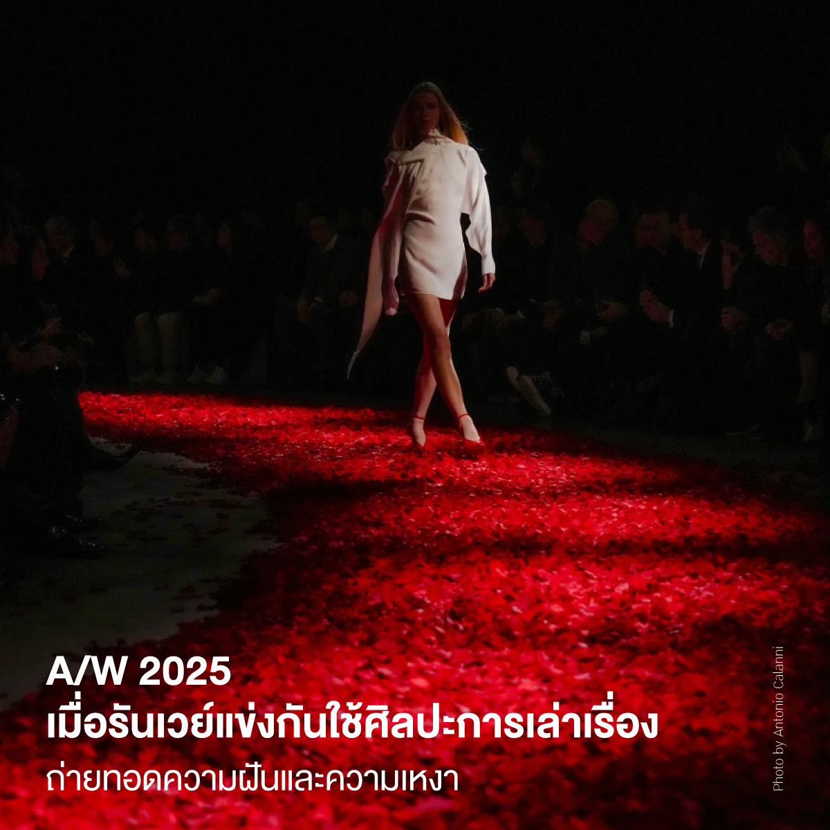 A/W 2025 เมื่อรันเวย์แข่งกันใช้ศิลปะการเล่าเรื่อง ถ่ายทอดความฝันและความเหงา